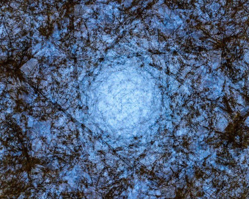 Autumn mosaic
