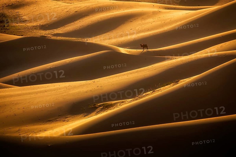 Beautiful light in Khongor sand dunes. Umnugobi province