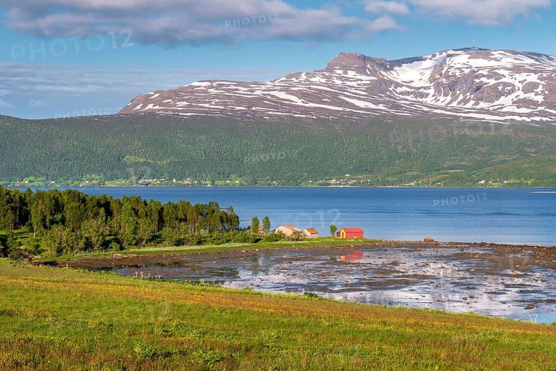 Wooden house by the fjord