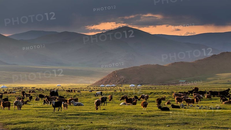 Peaceful evening. Mount Tsambagarav summer camp. Bayan-Ulgii province. Mongolia