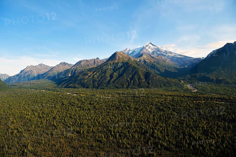 Wide forested valley with mountain peaks
