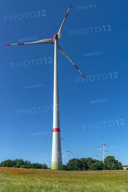 Wind turbines in blooming meadows