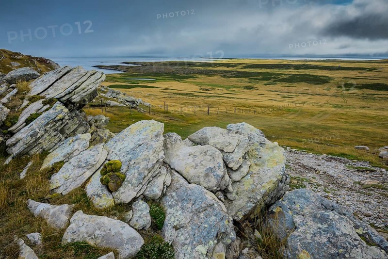 Landscape on Carcass Island