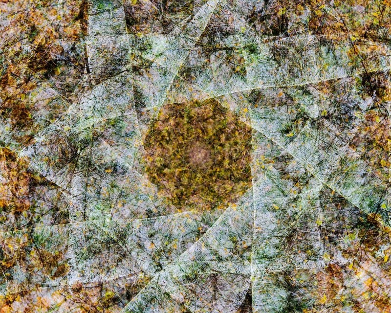 Autumn mosaic