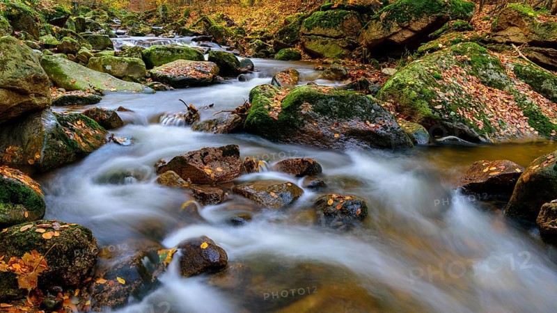 Autumn on the river Ilse in the Harz Mountains