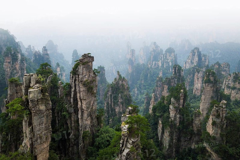 Avatar Mountains in fog