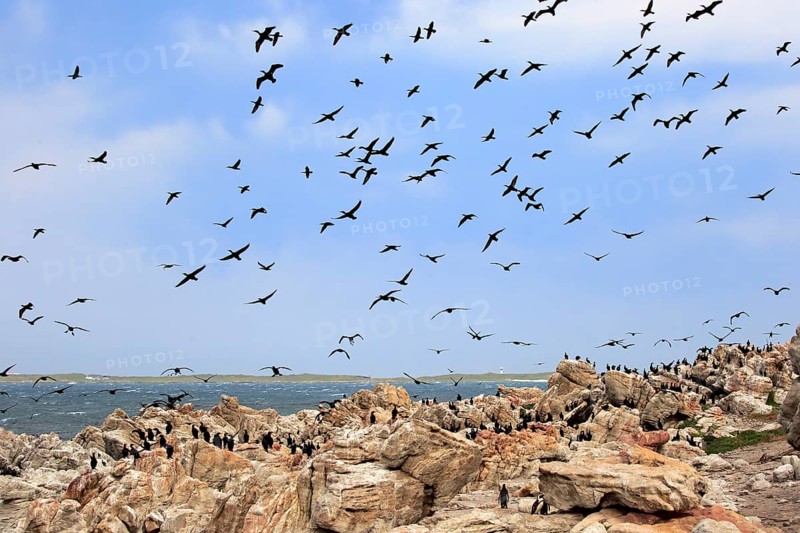 Stony Point Nature Reserve