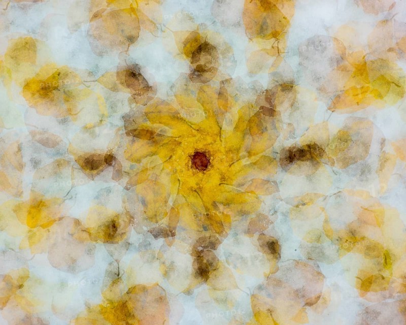 Autumn mosaic