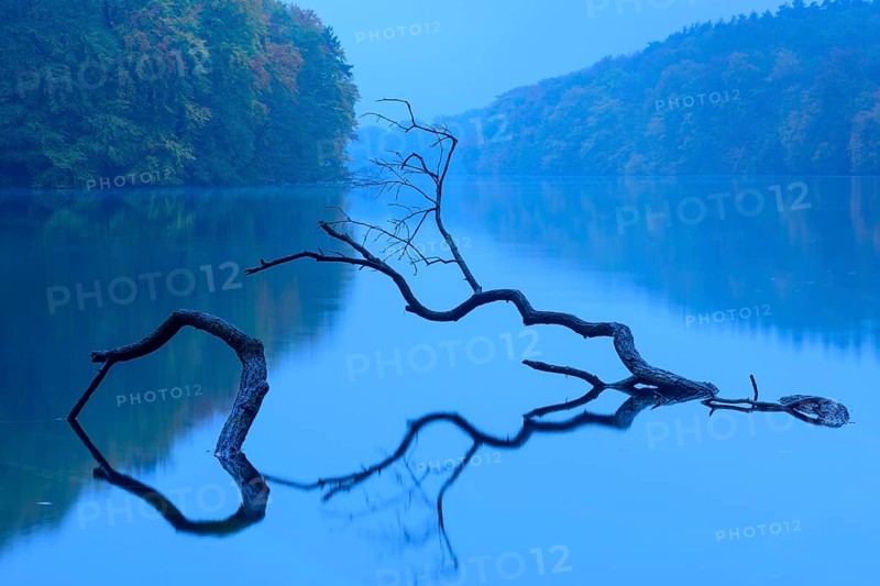 View of the lake Schmaler Luzin in the Feldberger Seenlandschaft in autumn at the blue hour