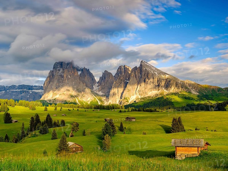 Alpe di Siusi mountain pasture