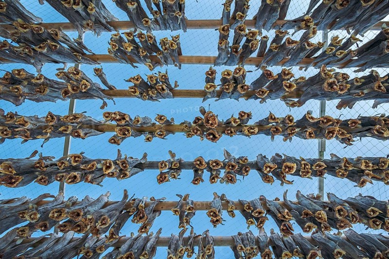 Wooden frame with stockfish
