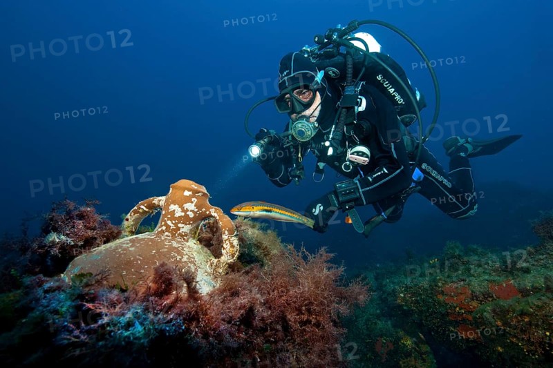 Divers and ancient amphora
