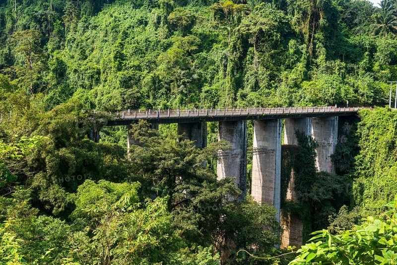 Road bridge in the tropical jungle