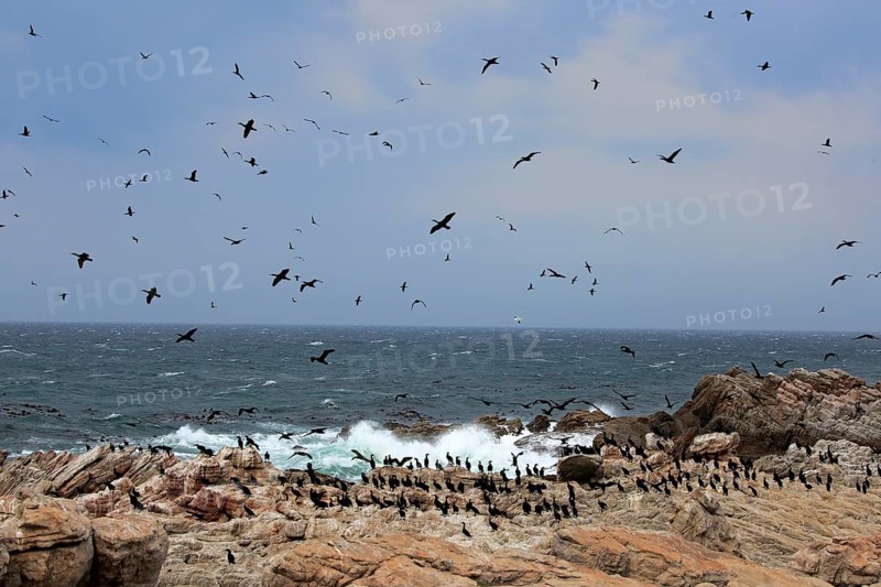 Stony Point Nature Reserve