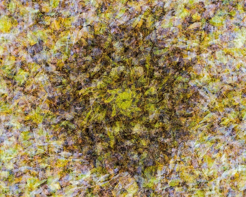 Autumn mosaic