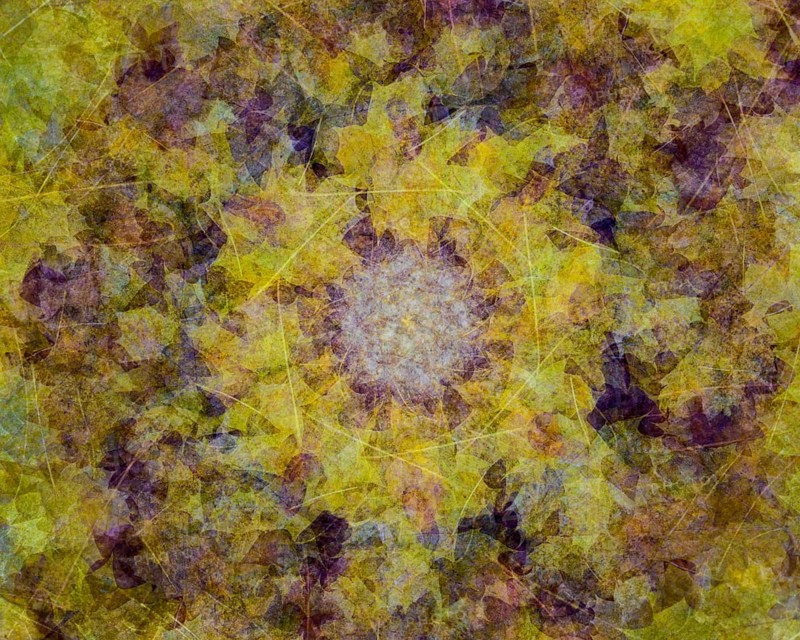 Autumn mosaic
