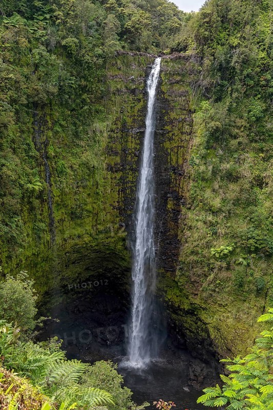 Akaka Falls