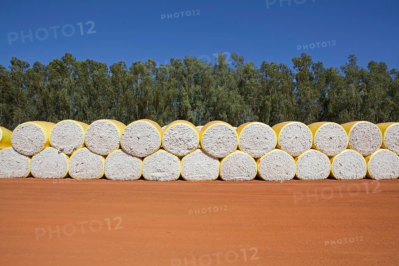 Stacks of cotton in Mato Grosso state