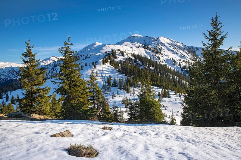 Mountain landscape in late winter with spruces