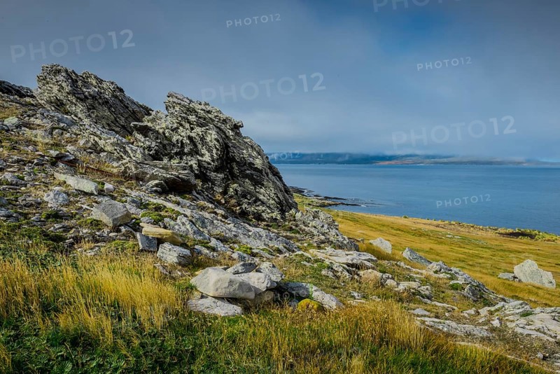 Landscape on Carcass Island