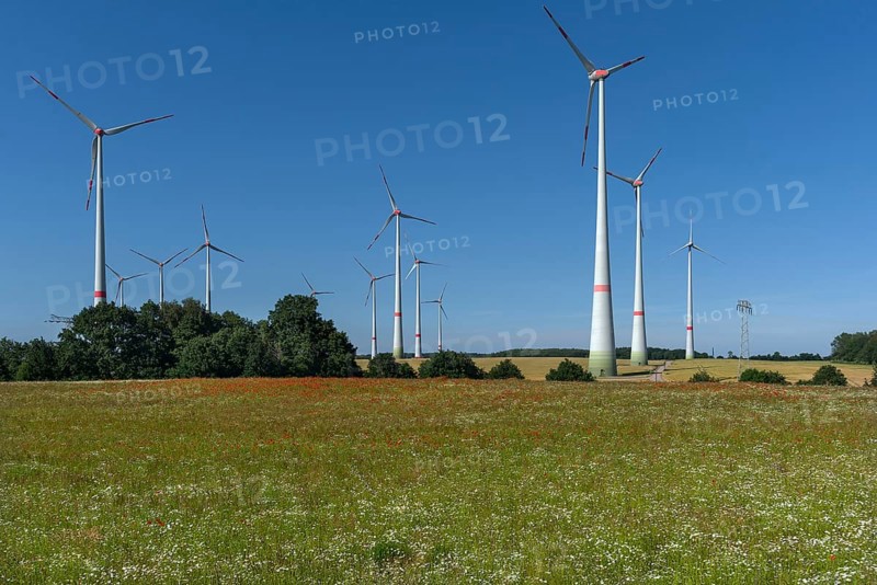 Wind turbines in blooming meadows