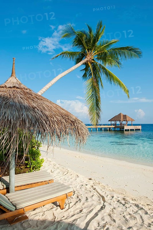 Palm covered parasol and beach chairs