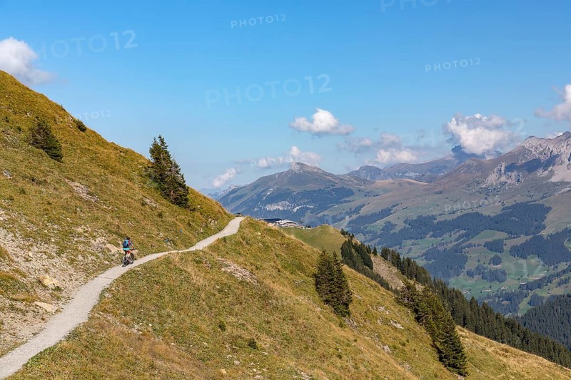 Mountain biker on a trail