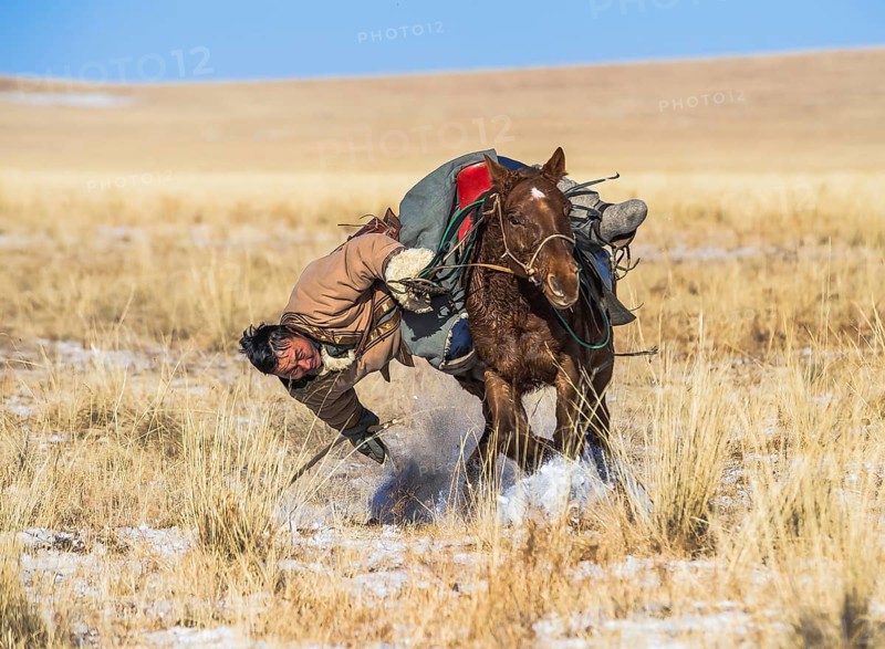 Traditional Mongolian rider