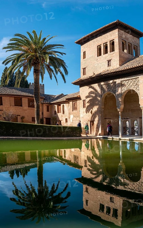 Historic building El Partal with pool and palm trees