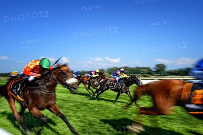 Jockey on racehorse