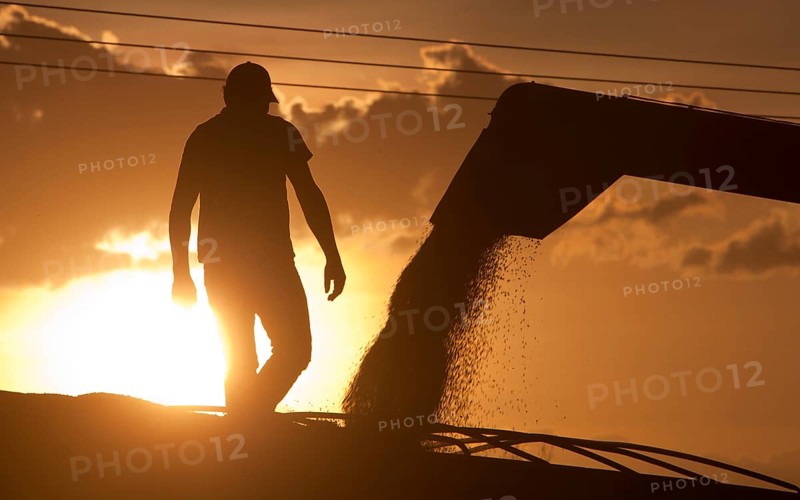 Worker Controls Unload of Soya Beans near Luis Eduardo Magalhaes