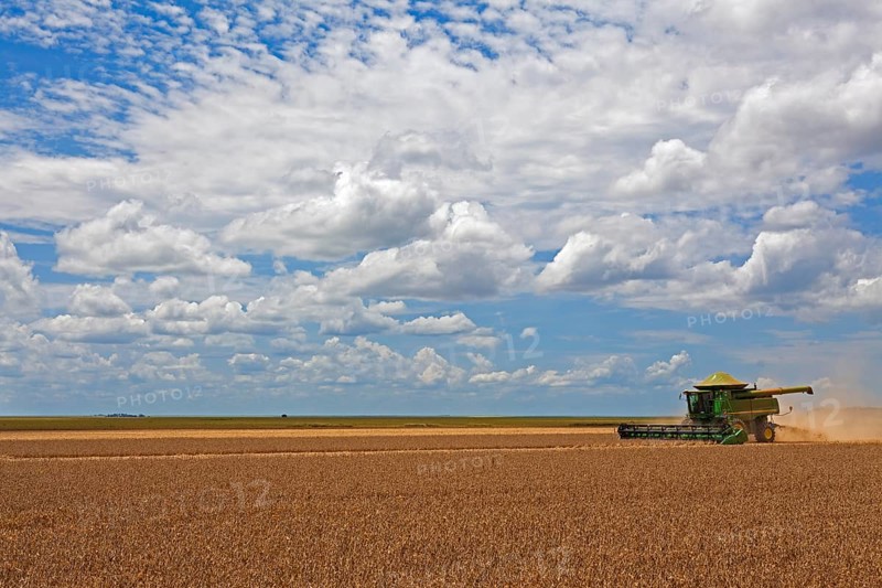 Soybean Mechanized Harvest near Luis Eduardo Mahalhaes
