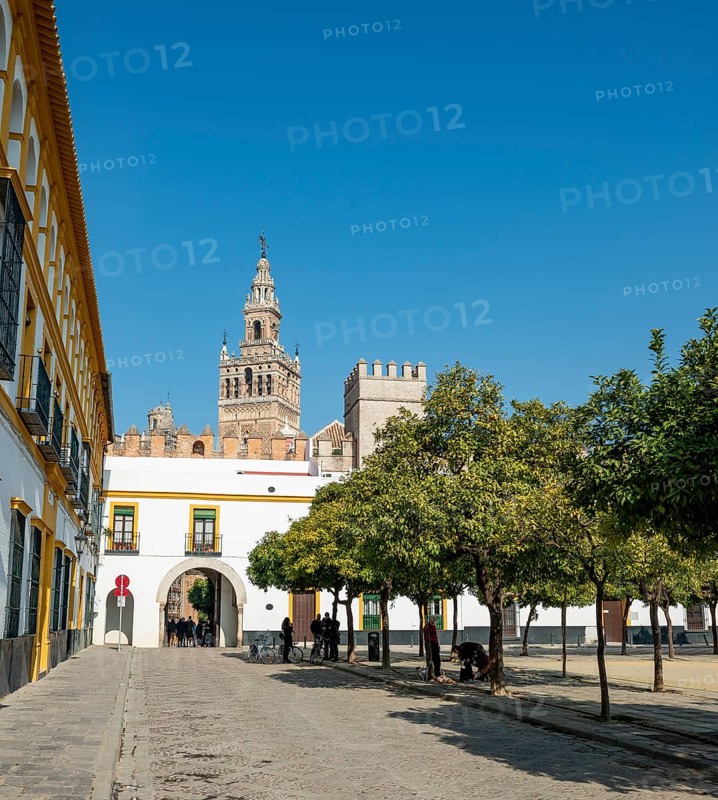 Patio de Banderas with bell tower La Giralda