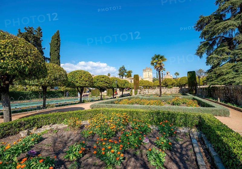 Garden of the Alcazar