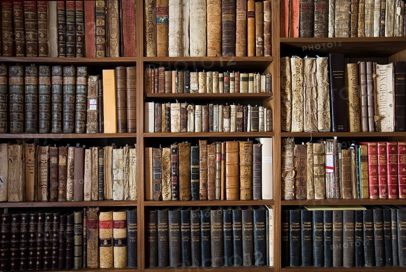Library at the Vela de Cobos Palace