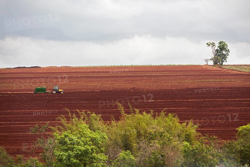 A Tractor pours fertilizer before sugar cane is planted