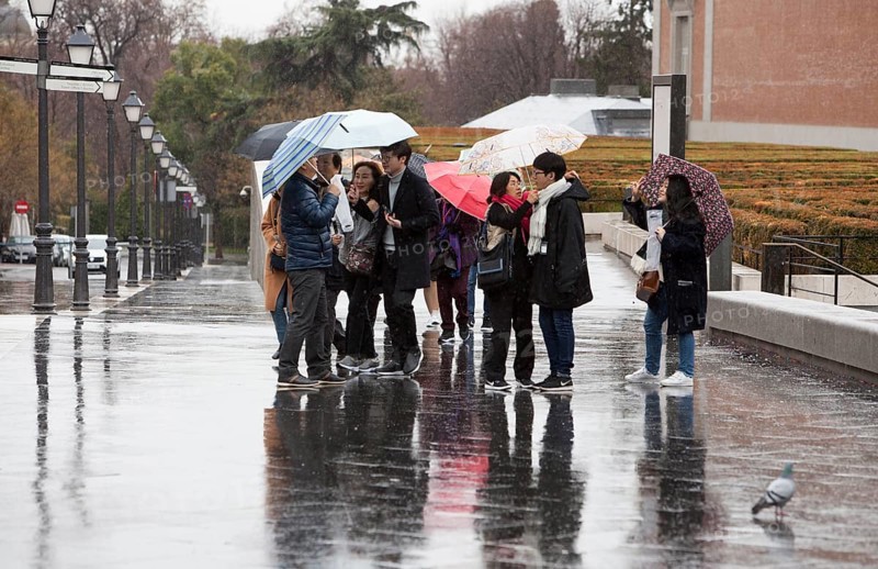 Japanese tourists with umbrellas leave the Prado Museum towards the bus on a rainy sunday in Madrid