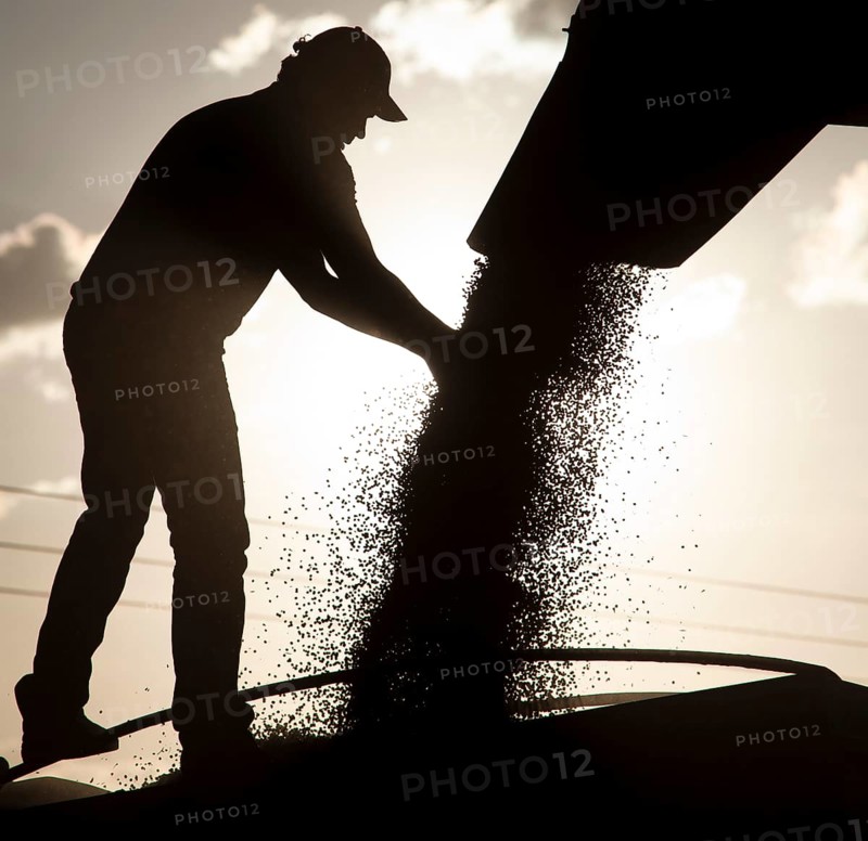 Worker Controls Unload of Soya Beans near Luis Eduardo Magalhaes
