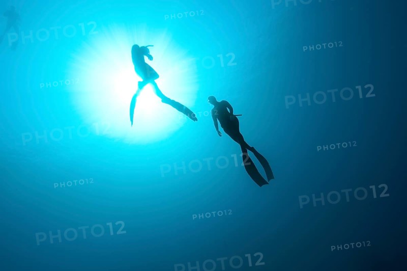 Freedivers