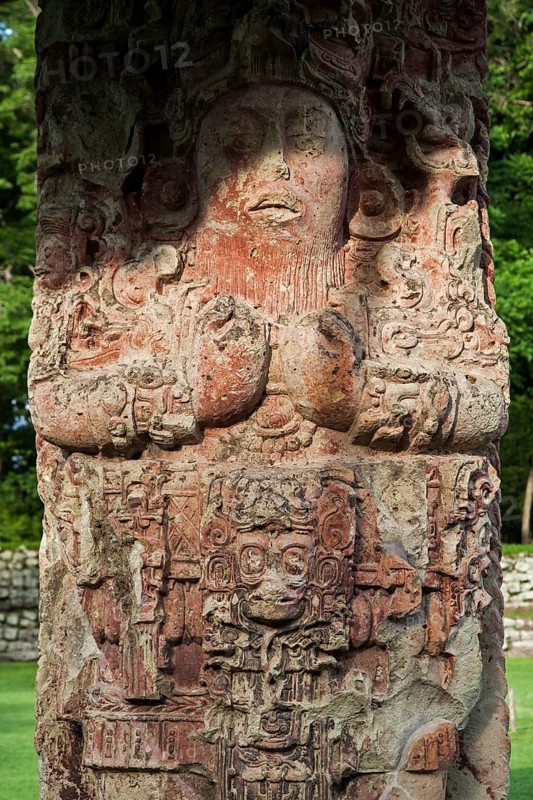 Stela C