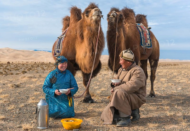 Shepherds with their camels at lunch