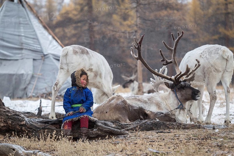 Reindeer herder girls with reindeer