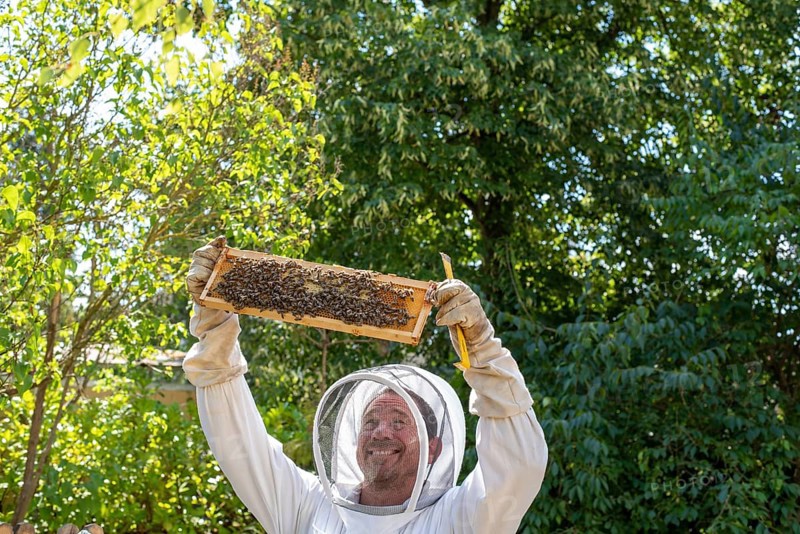 Beekeeper controls his honey bees