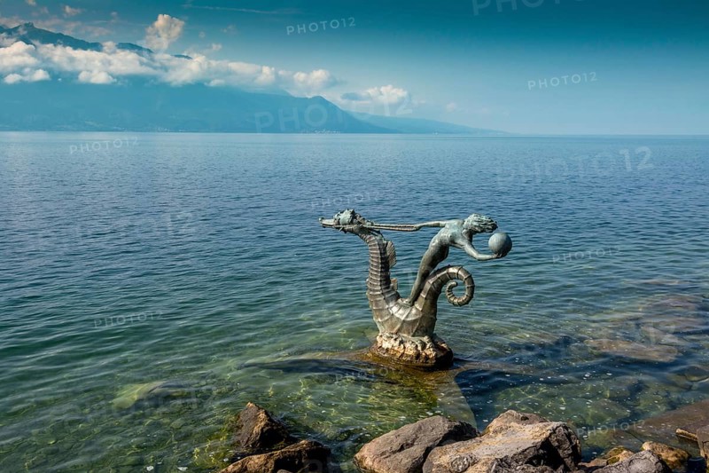 Seahorses on Lake Geneva