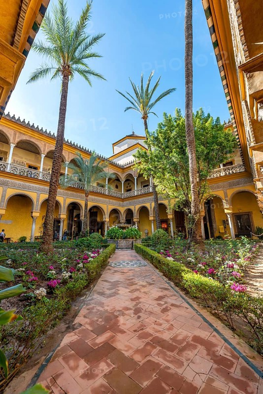 Patio with palm trees