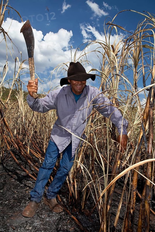 Man with regulation outfit for Manual harvest of burnt sugarcane