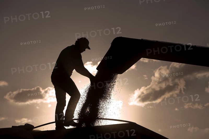 Worker Controls Unload of Soya Beans near Luis Eduardo Magalhaes