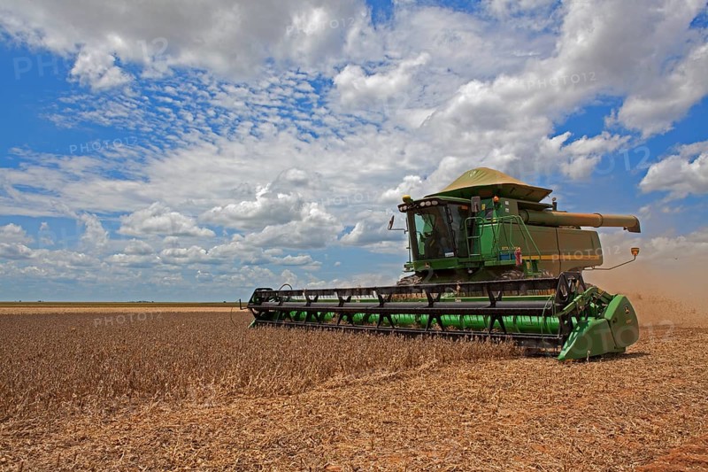 Soybean Mechanized Harvest near Luis Eduardo Mahalhaes