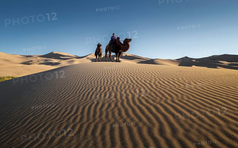 Sand patterns in Khongor sand dunes. Umnugobi province