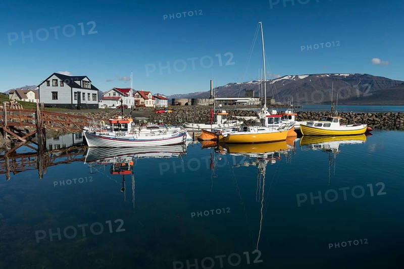 Boats in harbour